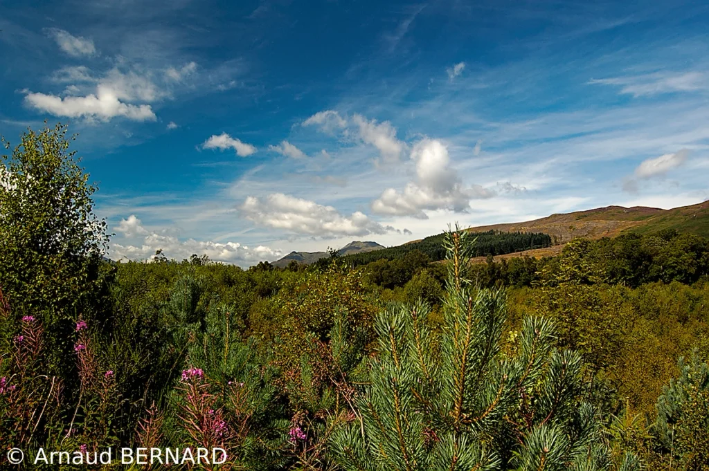 Autour du Loch Lomond