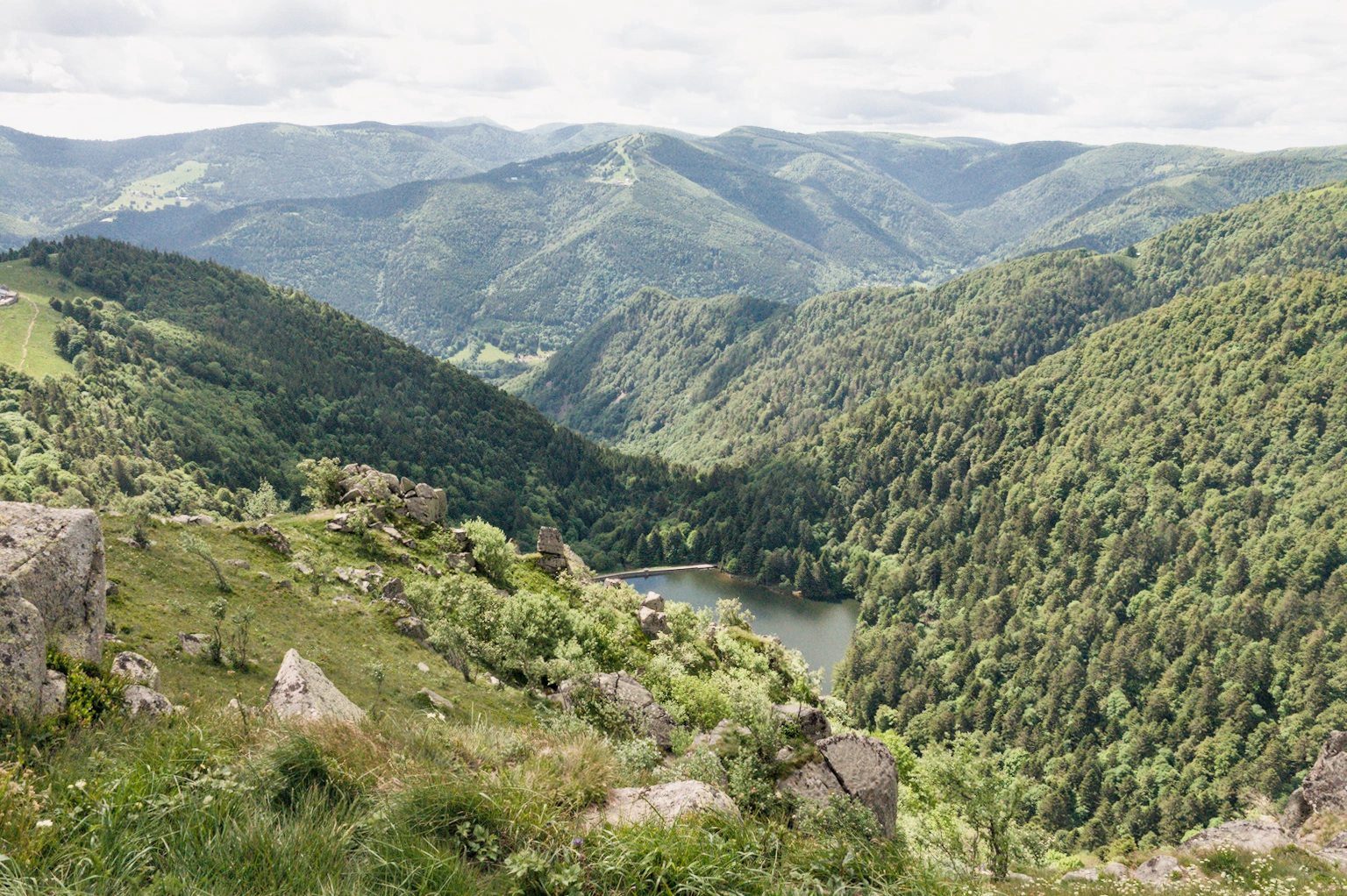 La crête des Vosges (GR5)