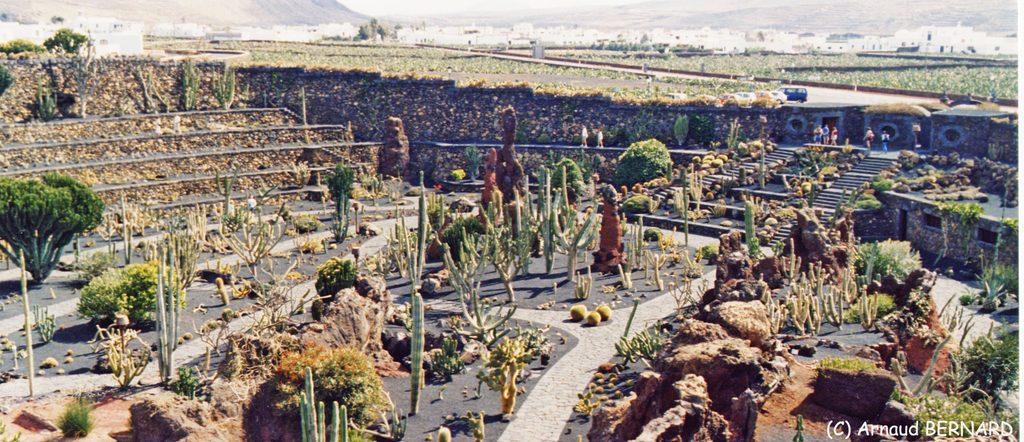 Jardin de cactus