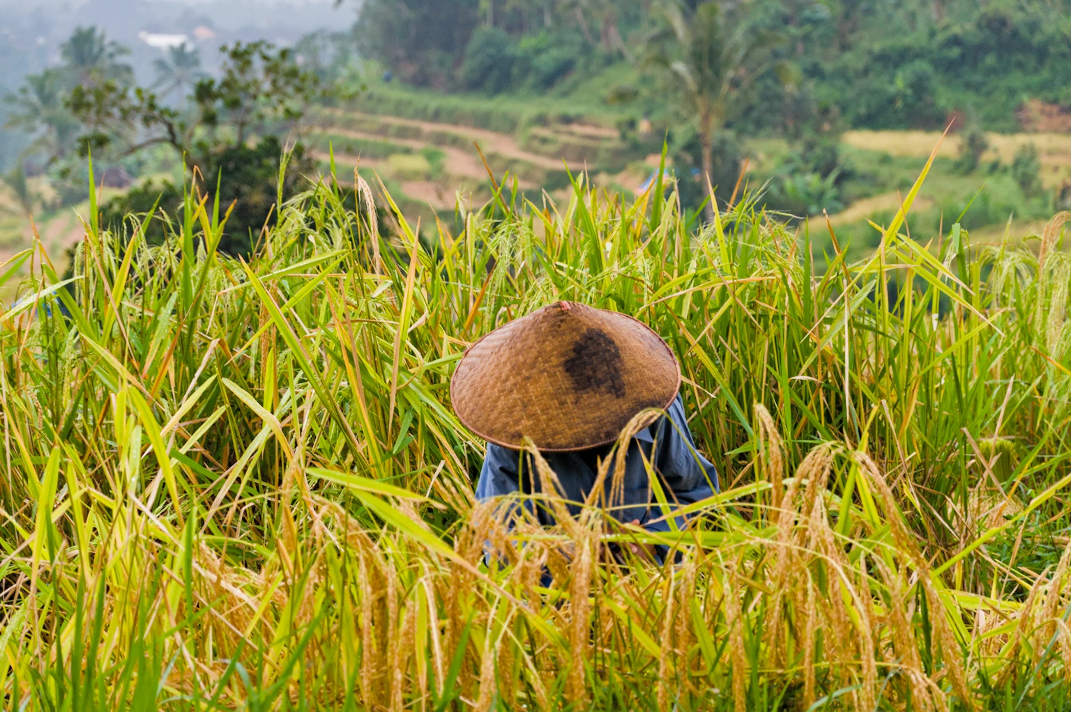 Bali – L&rsquo;île au mille sourires
