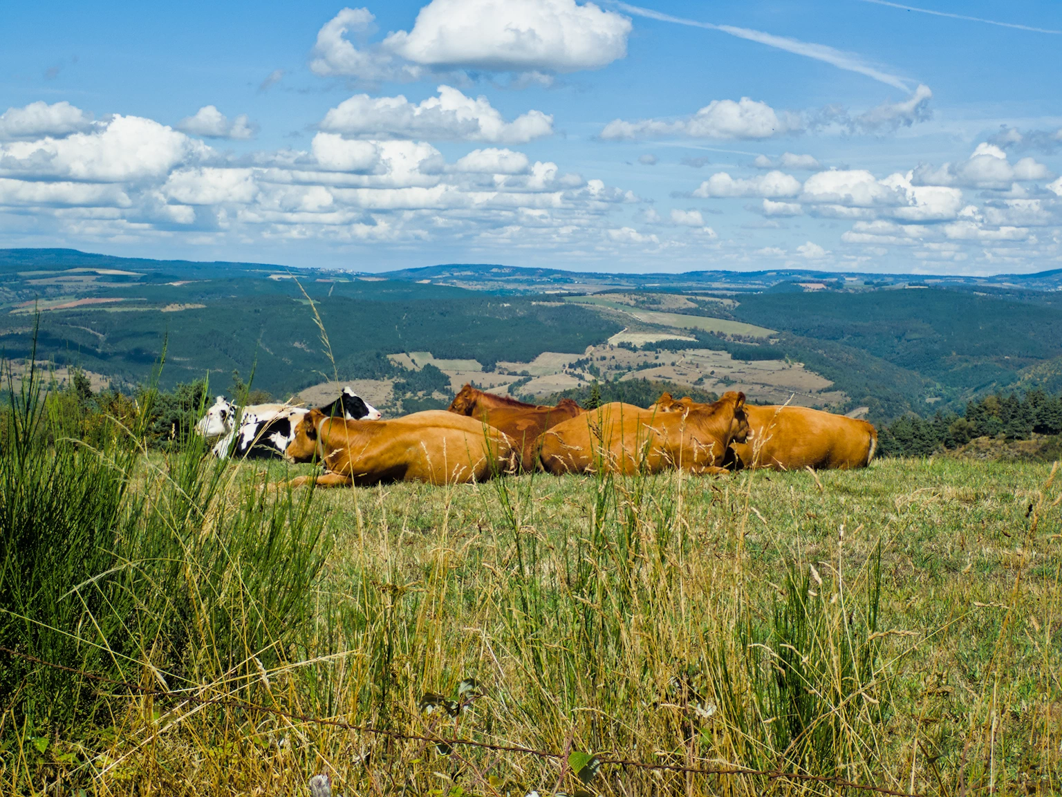 Balade en Lozère et en Ardèche